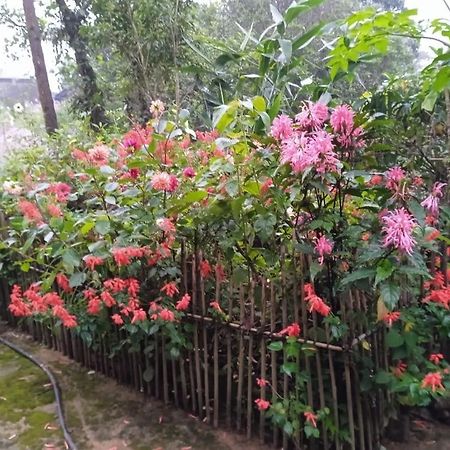 Meikha Homestay Pynursla Luaran gambar
