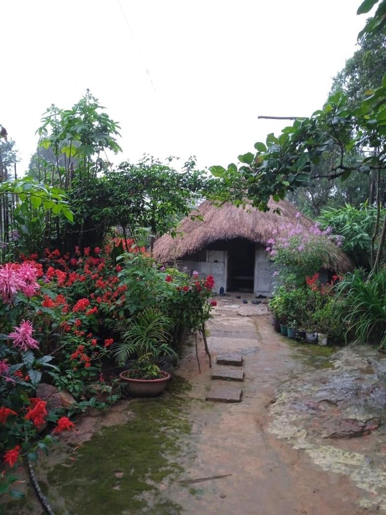 Meikha Homestay Pynursla Luaran gambar