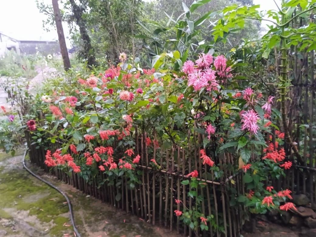 Meikha Homestay Pynursla Luaran gambar